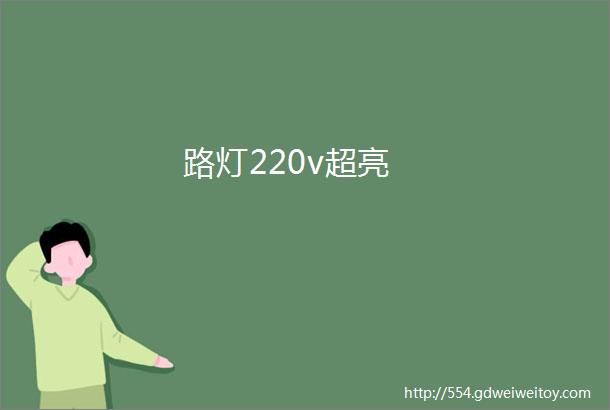 路灯220v超亮