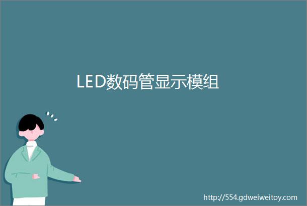 LED数码管显示模组